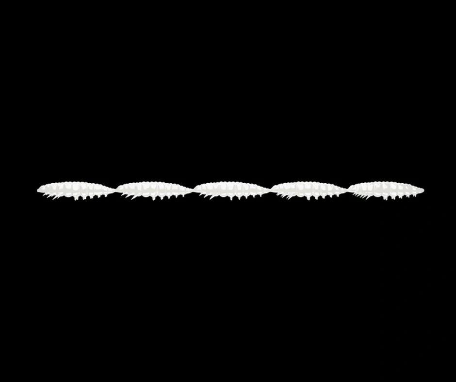 LIBRA LURES Larva Multi 5x25mm Silver Pearl Cheese 5x5ks