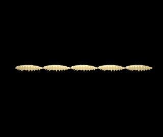 LIBRA LURES Larva Multi 5x25mm Cheese 5x5ks