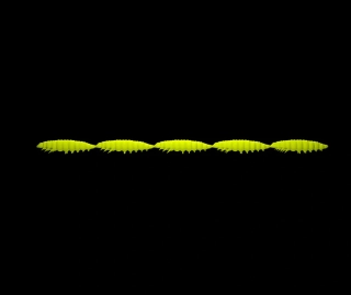 LIBRA LURES Larva Multi 5x25mm Hot Yellow Cheese 5x5ks