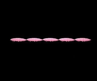 LIBRA LURES Larva Multi 5x25mm Bubble Gum Cheese 5x5ks